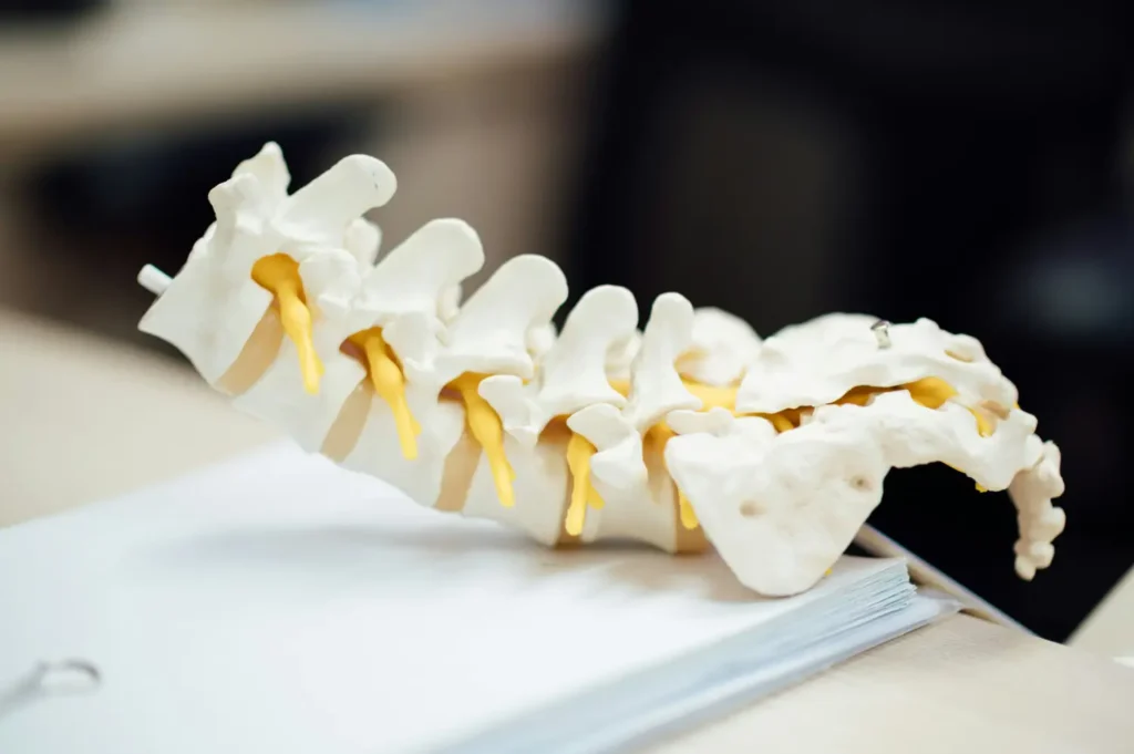 Chiropractie en Lage Rugpijn